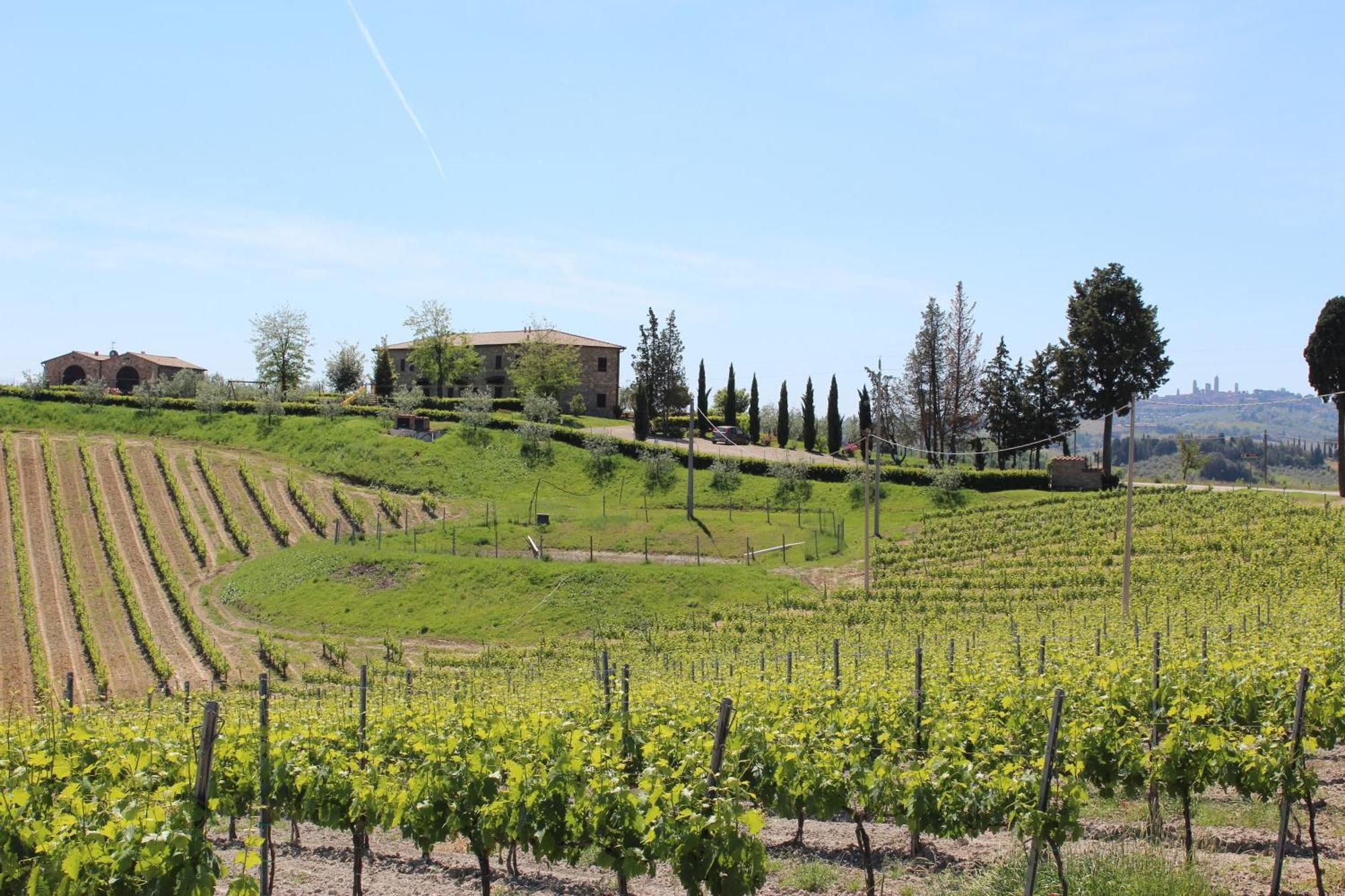 Agriturismo Macinatico San Gimignano Exteriér fotografie